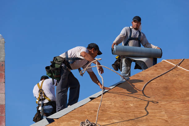Best Storm Damage Roof Repair  in Barboursville, WV