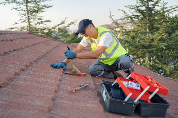 Best Roof Repair Services  in Barboursville, WV